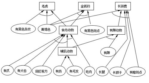 人工智能基礎(chǔ)軟件項(xiàng)目開發(fā)實(shí)踐 以動(dòng)物識別產(chǎn)生式系統(tǒng)為例